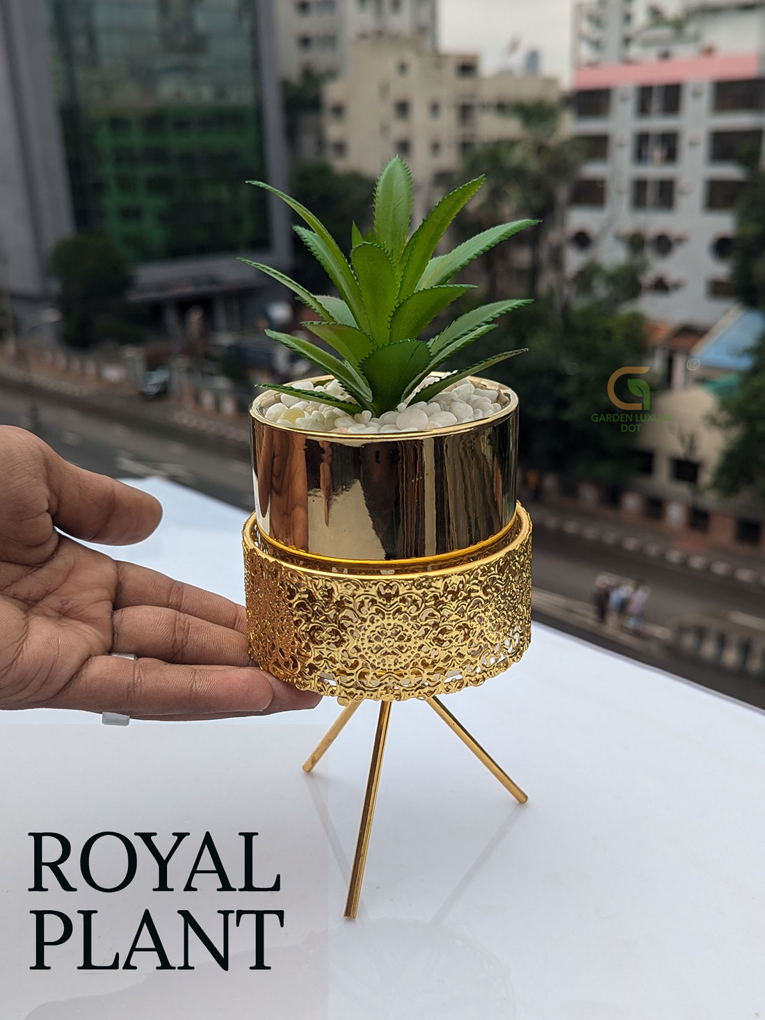 Product Images